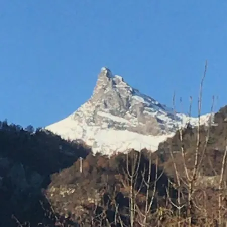 Blu Ortensia Champdepraz
