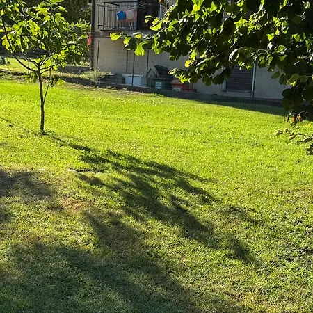 Ortensia * Champdepraz