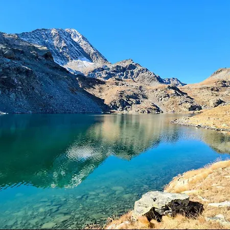 Апартаменты Ortensia Champdepraz