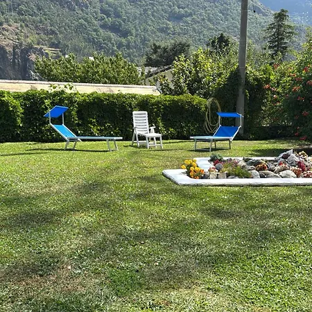 Blu Ortensia