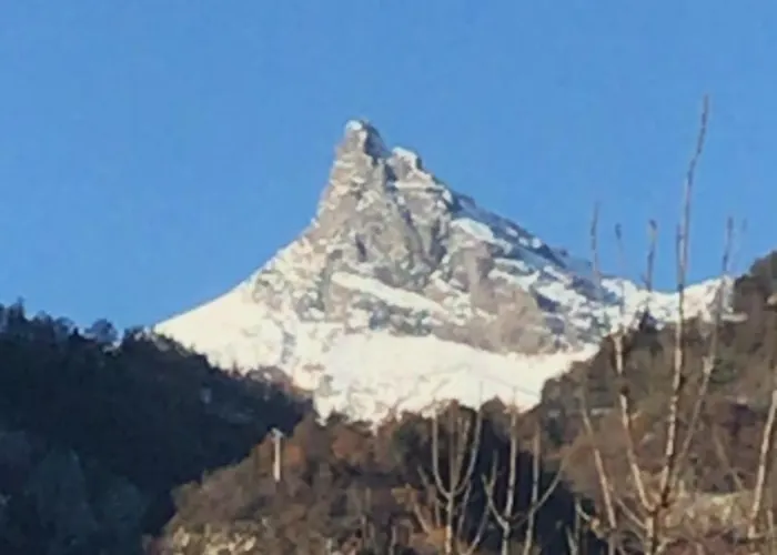 Ortensia Champdepraz